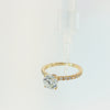 A yellow gold solitaire engagement ring featuring a large round brilliant-cut center stone, with a pavé-set band adorned with smaller round diamonds, shown on a clean white background.