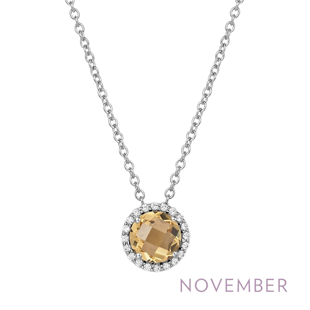 January Birthstone Necklace