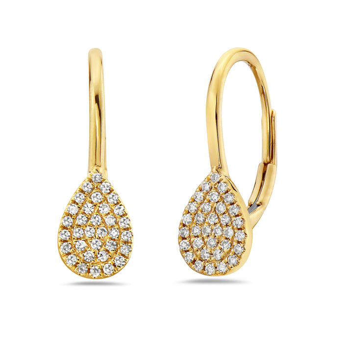 Earring ER12910