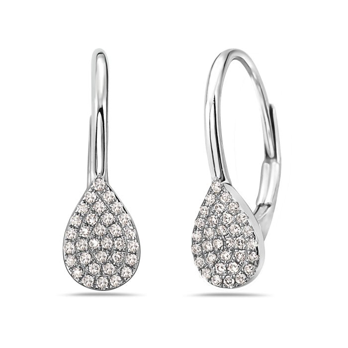 Earring ER12910