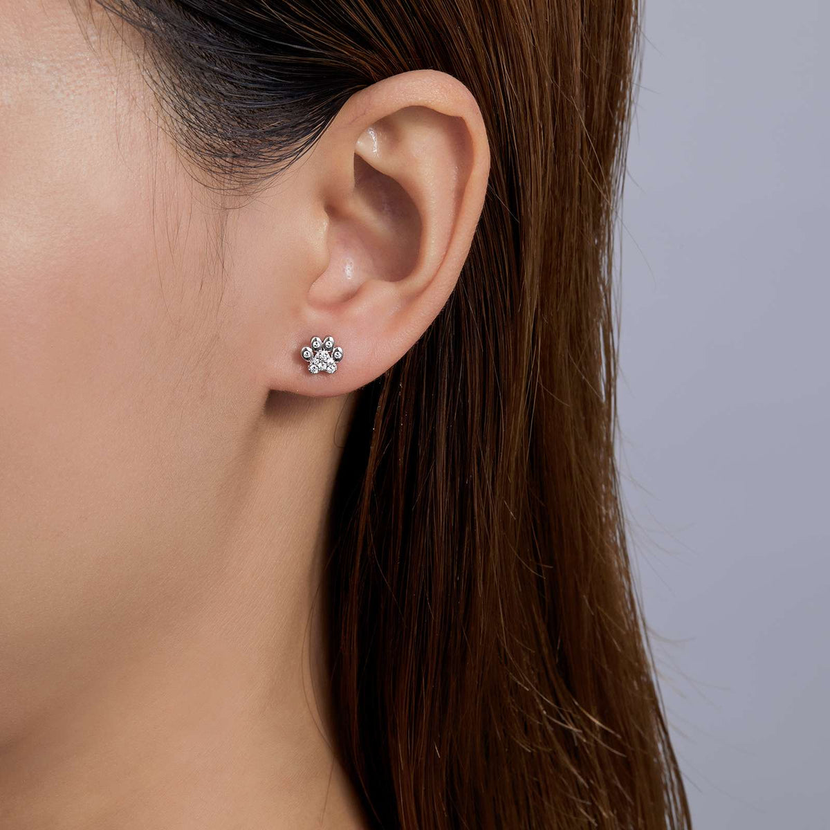 Precious Paws Earrings