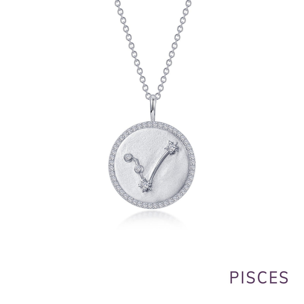 Zodiac Constellation Coin Necklace, Aquarius